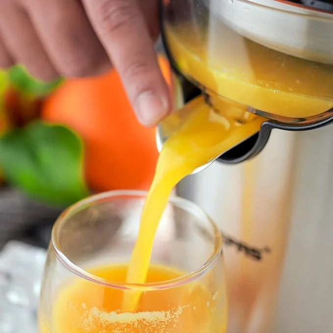 Stainless Steel Citrus Juicer TrendyZone